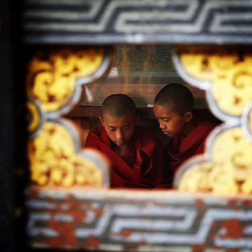 Himalayan Harmony Travel