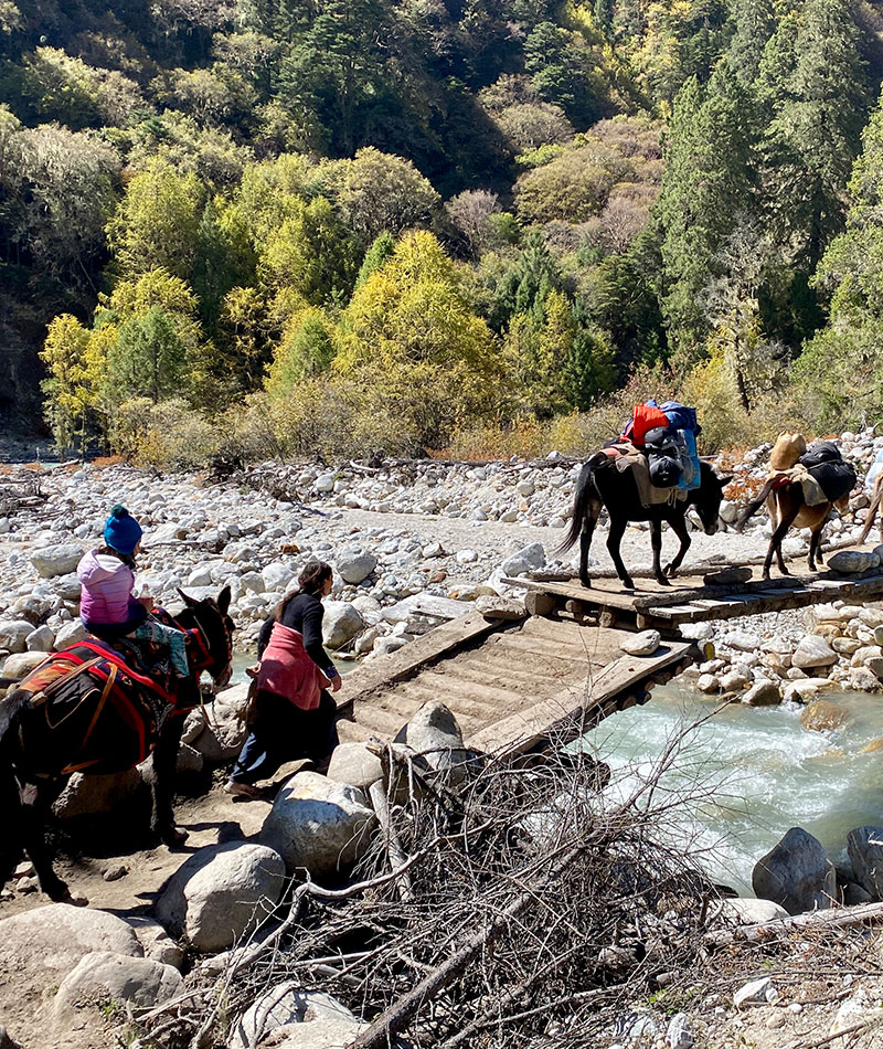Adventure Tours
