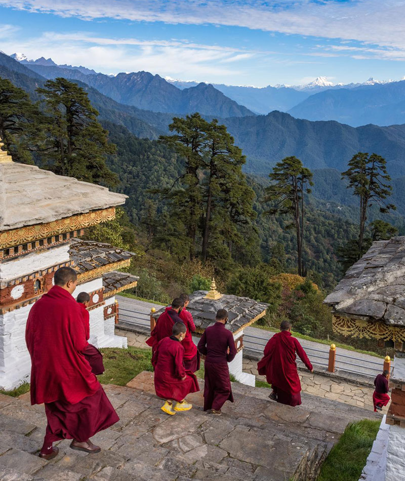 Group Tours